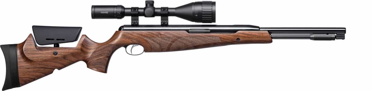 Placeholder Gun Image